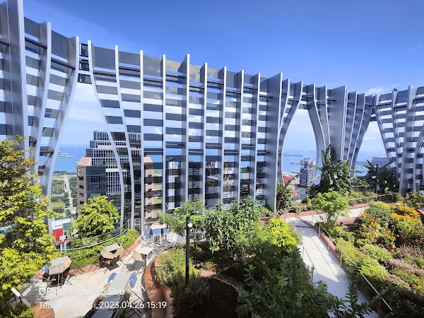 Sky Garden at CapitaSpring 1