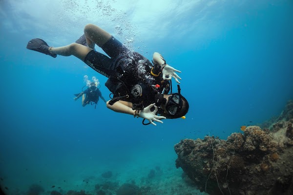 Roctopus™ | Koh Tao Diving Center 5