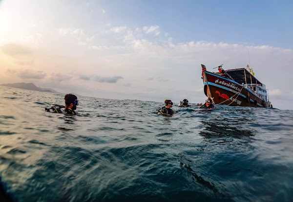 Roctopus™ | Koh Tao Diving Center 2
