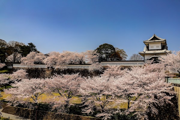 Kanazawa Castle Park 2