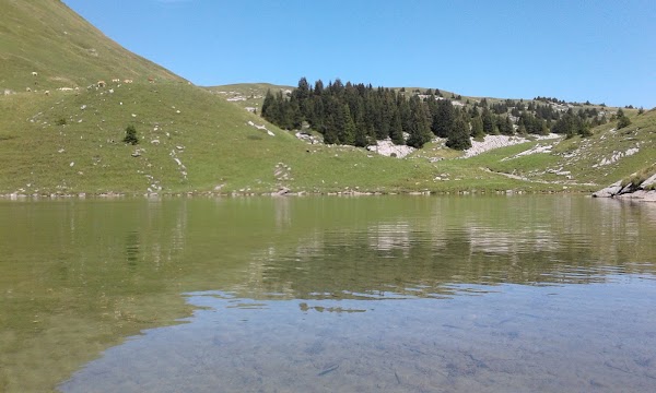 Sulsseewli