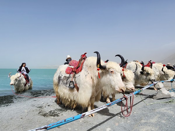 Baisha Lake Scenic Spot 5