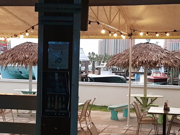 The Green Parrot - Harbour Front 1