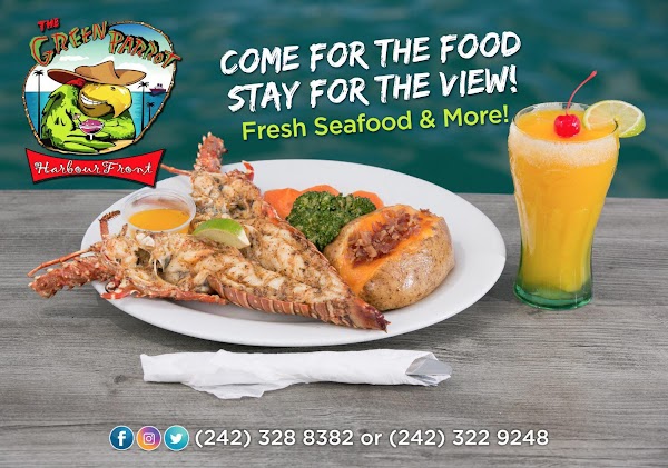 The Green Parrot - Harbour Front 4