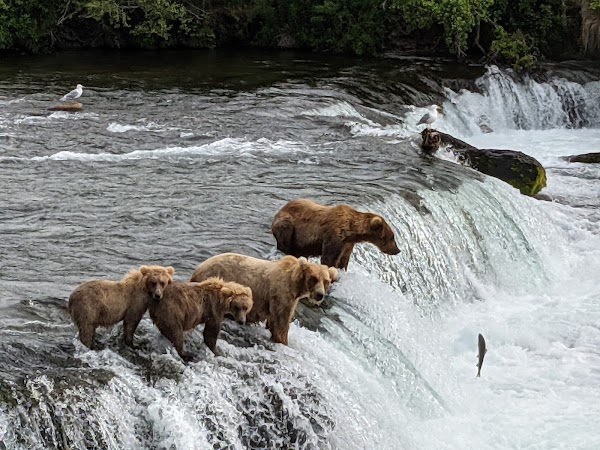 Katmai National Park and Preserve 1