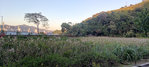 Hong Kong 3
