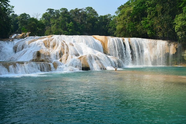 Cascadas de Agua Azul 1