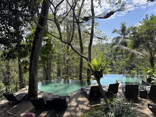 d'Alas by the pool
