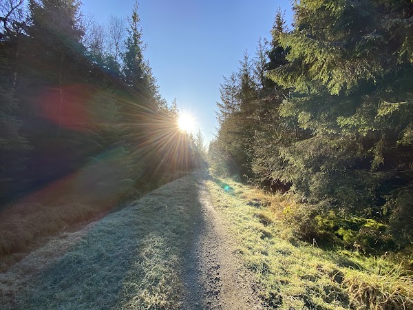 Gisburn Forest and Stocks - Forestry England