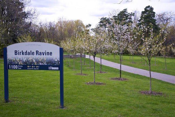 Birkdale Ravine