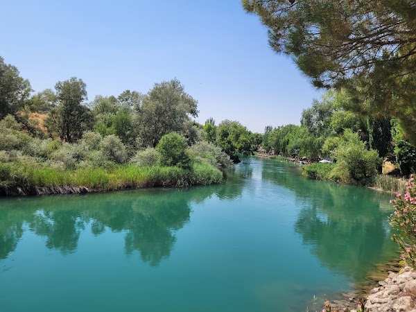 Fluvial de Zorita de los Canes Park