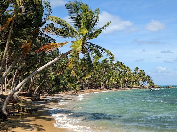 Little Corn Island 4