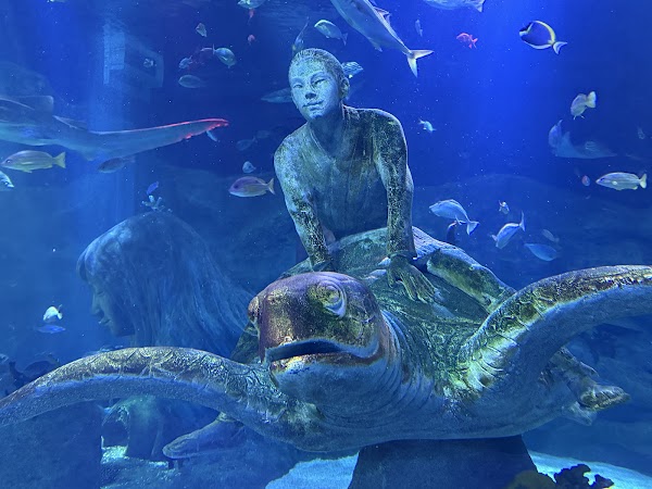 Nagoya Sea Life Aquarium 1