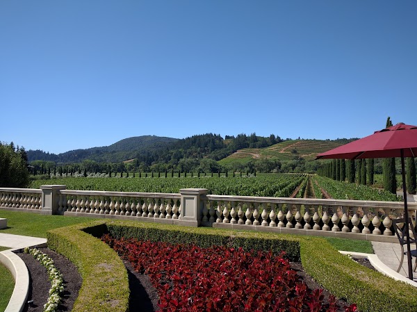 Ferrari-Carano Vineyards and Winery 4