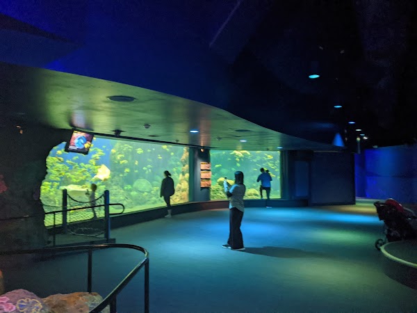 Turtle Reef 3