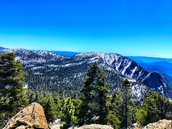 Mount San Jacinto State Park