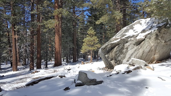 Mount San Jacinto State Park 4