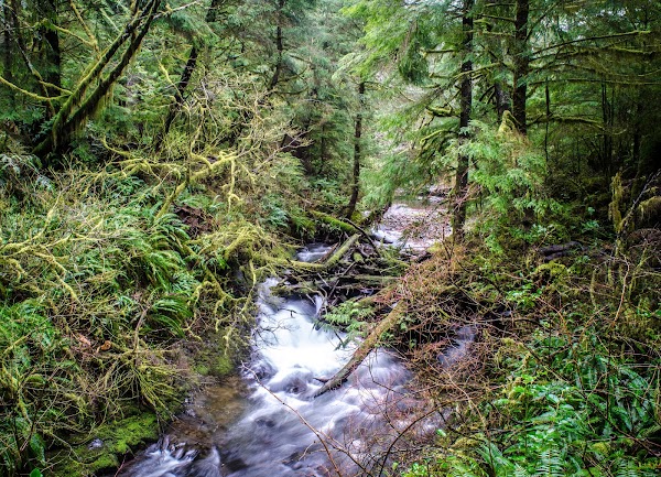 PNW
