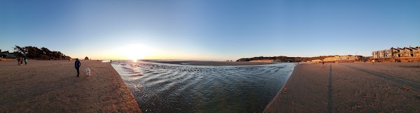 Manzanita 5