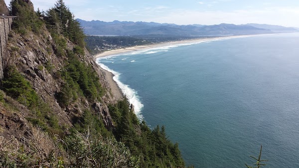 Manzanita 4