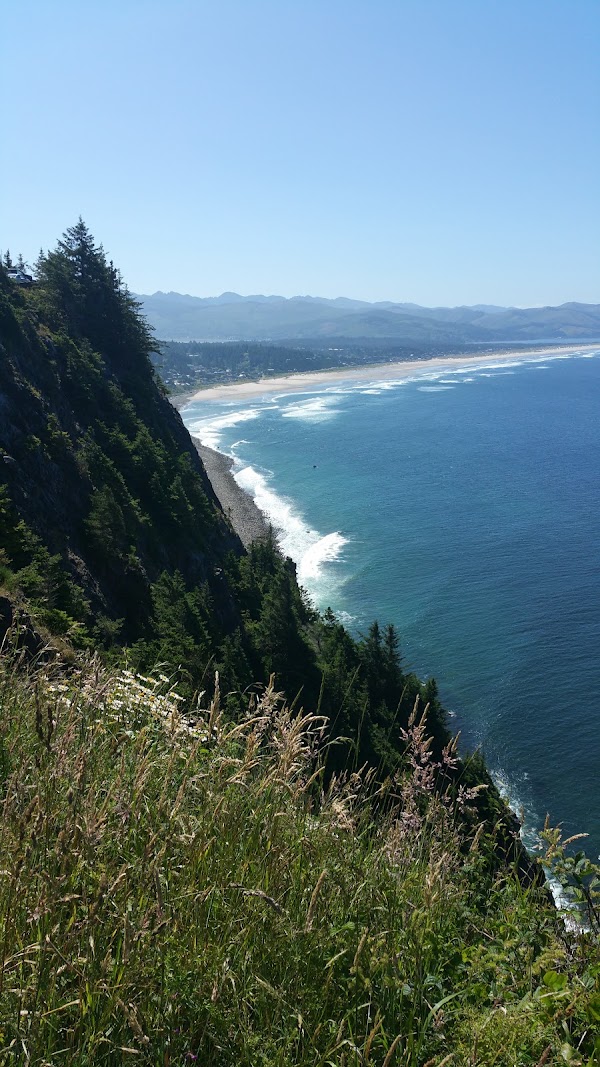 Manzanita 3