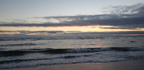 Manzanita 2