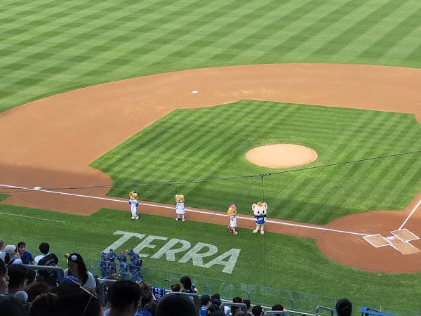 Daegu Samsung Lions Park 4