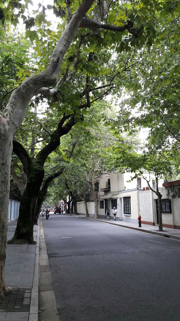 Wukang Road 4