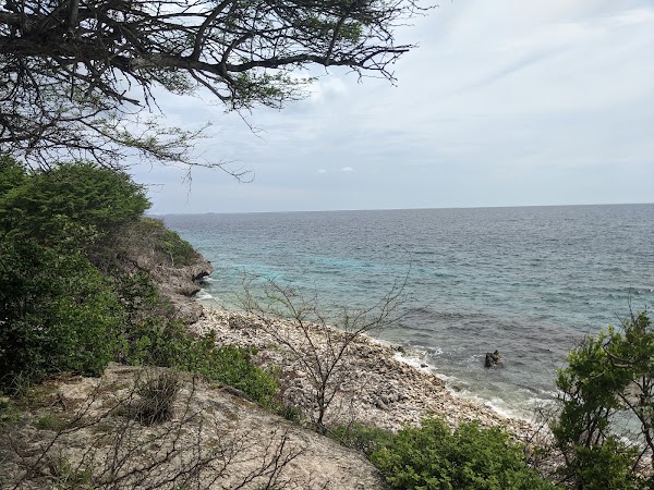 Bonaire 5