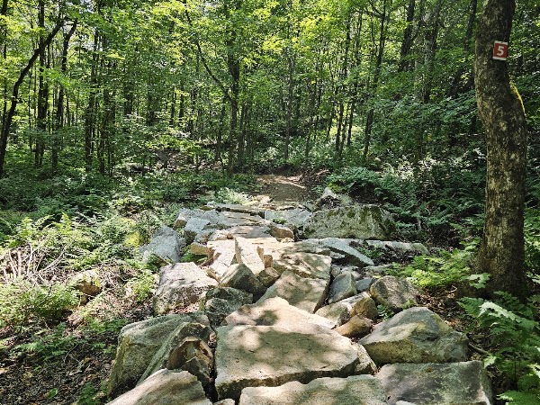Parc Harold F. Baldwin (Mont Pinacle) 3