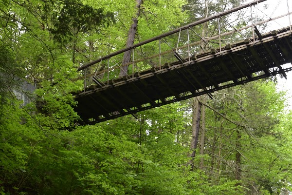 Suspension Bridge (Gorge Trail access point) 1