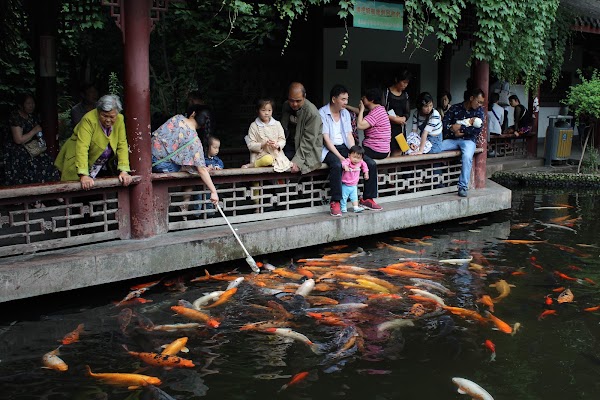 People's Park 3