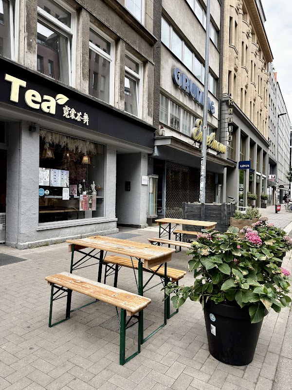 China Fresh Tea 5