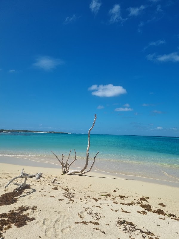 Plage de la Douche 2