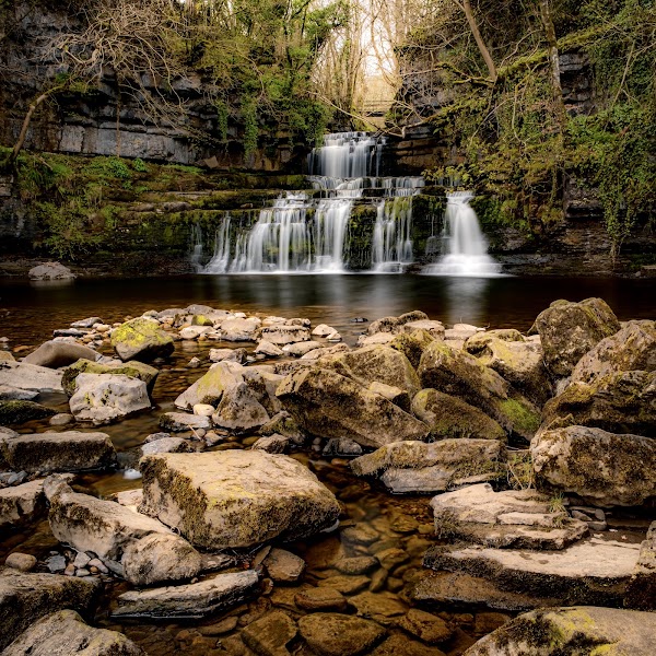 Cotter Force