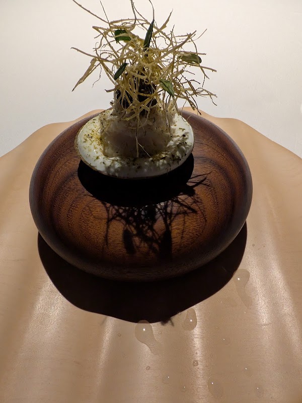 Kiln 3