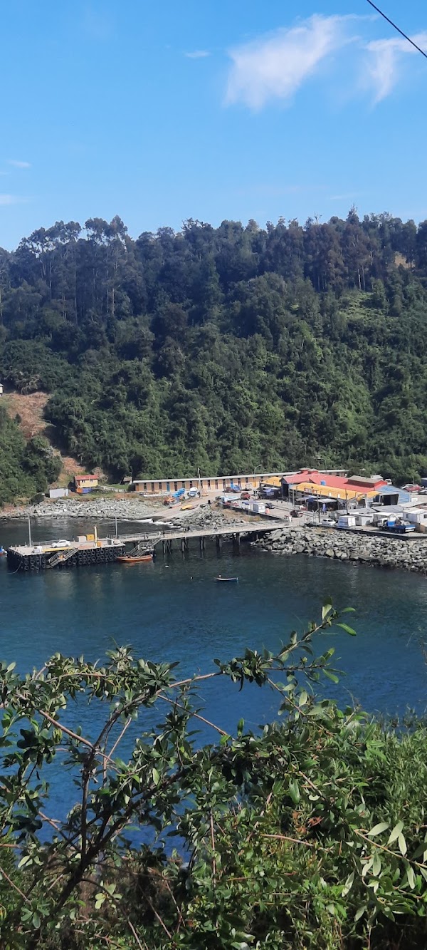 Bahía Mansa 1
