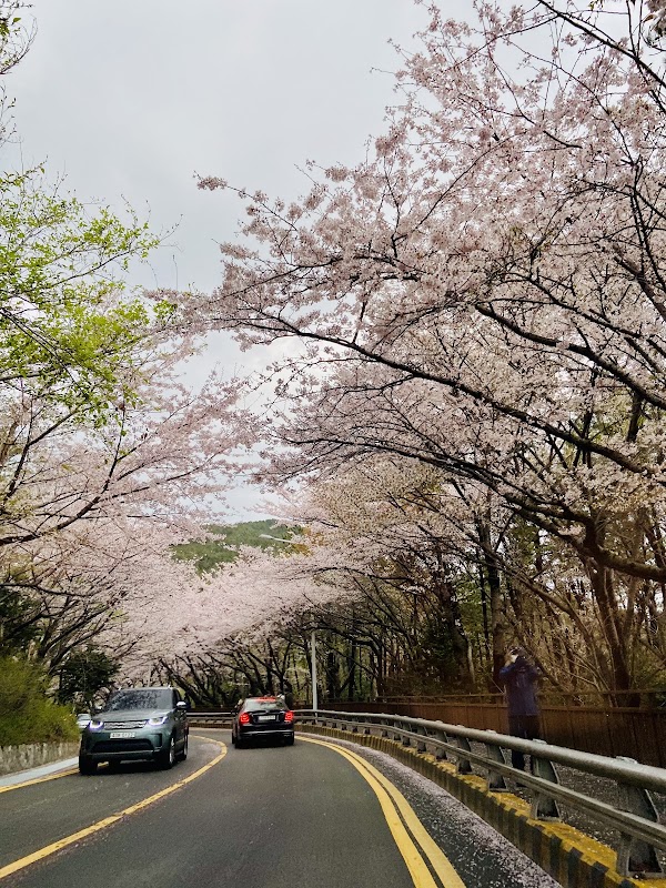 해운대 달맞이길