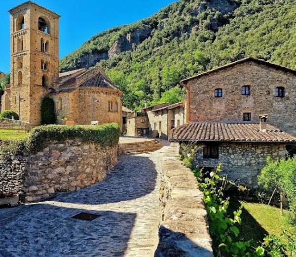Beget