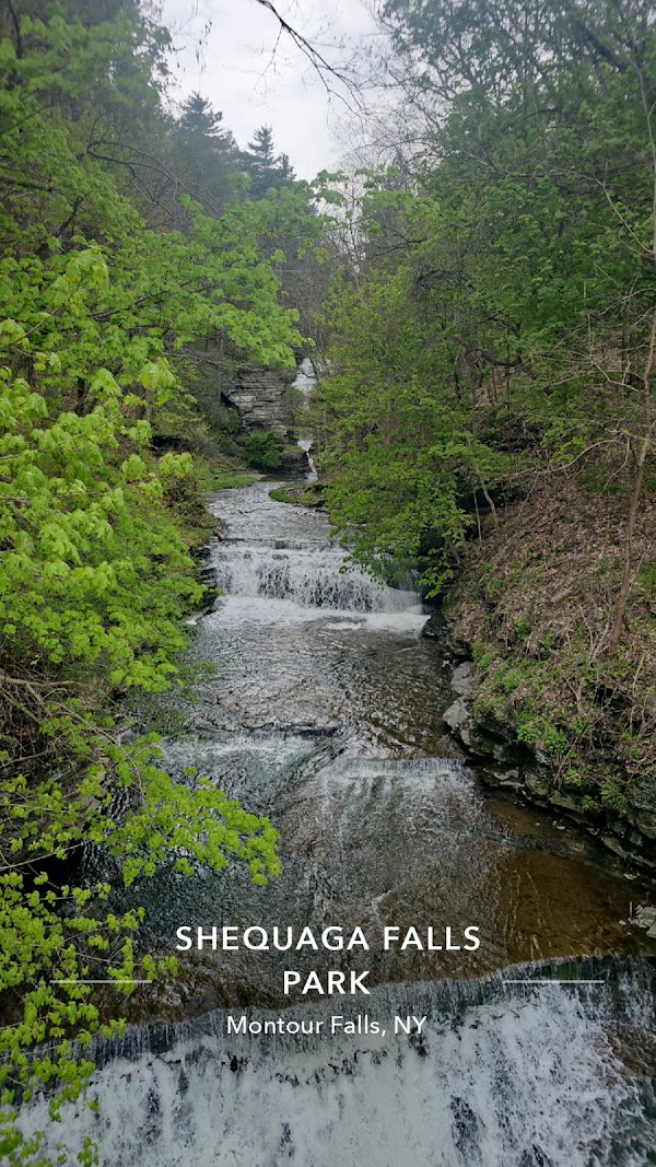 Shequaga Falls 2