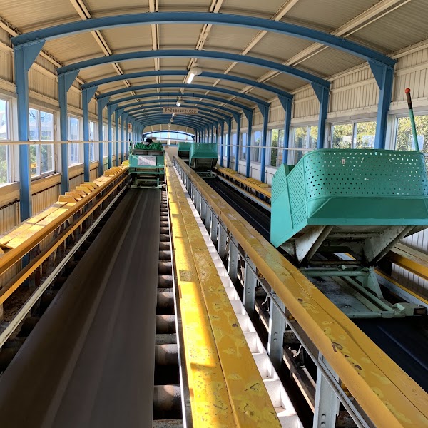 Carlator 1