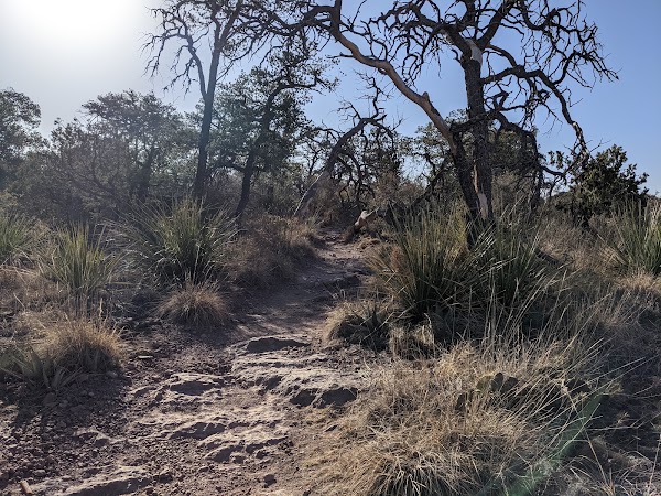 Lost Mine Trail 3