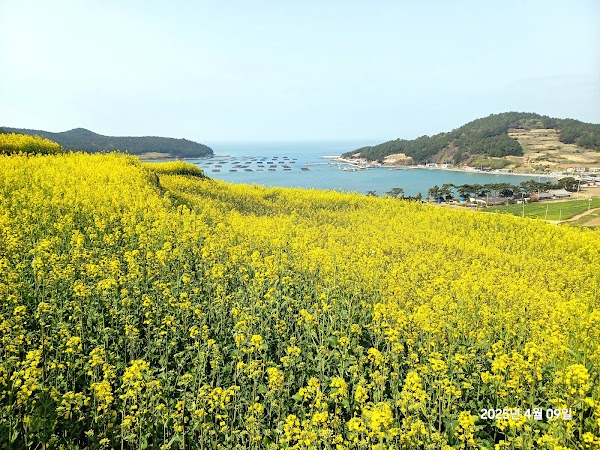 Cheongsando 1