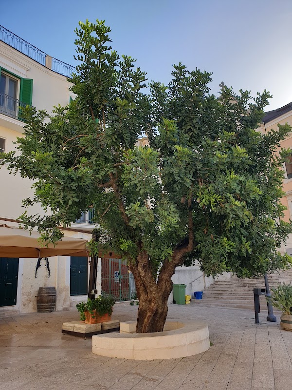 Piazza San Giovanni 2