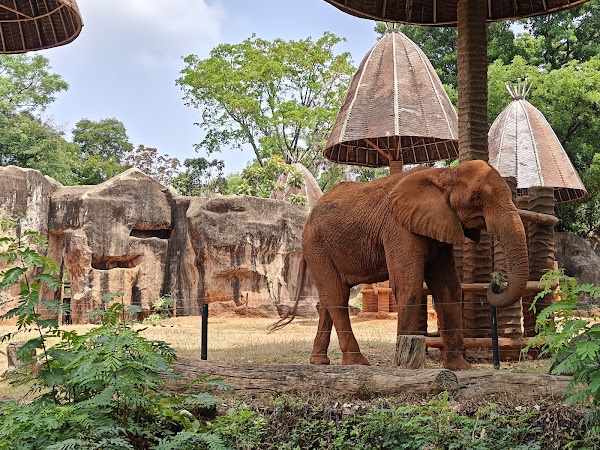Nakhon Ratchasima Zoo (Korat Zoo)