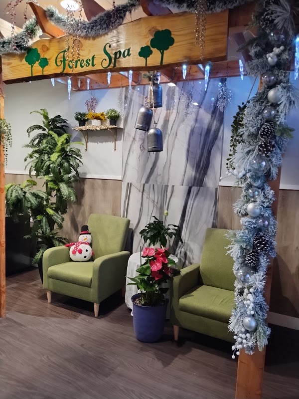 Forest Spa 2