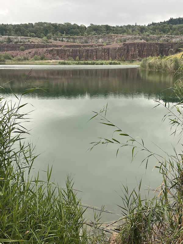 Kvinnersta chalk quarry 3