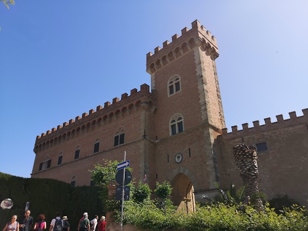 Bolgheri