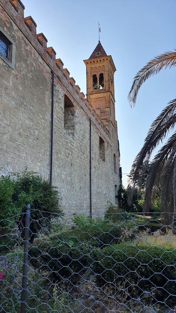 Bolgheri 5