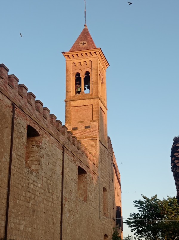 Bolgheri 3